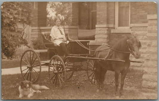 GIRL w/ DOG DRIVING HORSE ANTIQUE REAL PHOTO POSTCARD RPPC