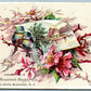 SOMERVILLE NJ SOMERSET SUPPLY CO ANTIQUE ADVERTISING VICTORIAN TRADE CARD