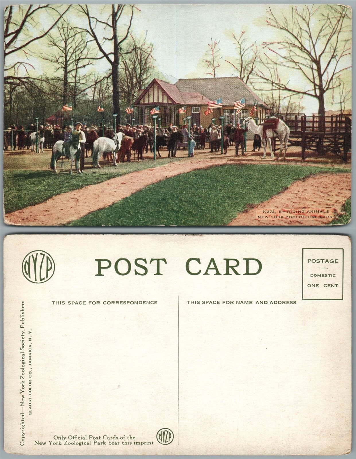 NEW YORK ZOO N.Y. ANTIQUE POSTCARD w/ AMERICAN FLAGS