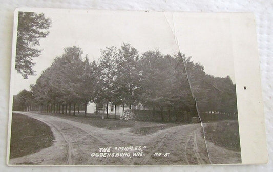 RPPC THE MAPLES STREET SCENE OGDENSBURG WISCONSIN ANTIQUE REAL PHOTO POSTCARD