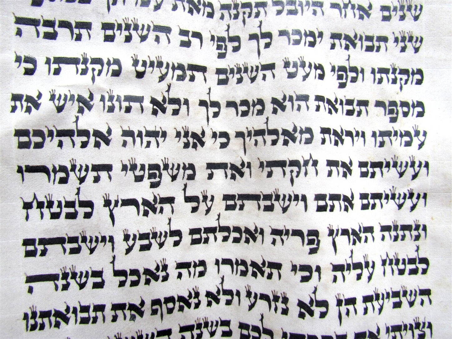 TORAH SCROLL FRAGMENT MANUSCRIPT VELLUM ANTIQUE BIBLE 21.5 x 24"