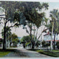 VINTAGE POSTCARD - MAGNOLIA AVENUE HOTEL DES PLAND DAYTONA FL