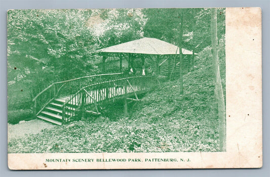 PATTENBURG NJ BELLEWOOD PARK ANTIQUE POSTCARD