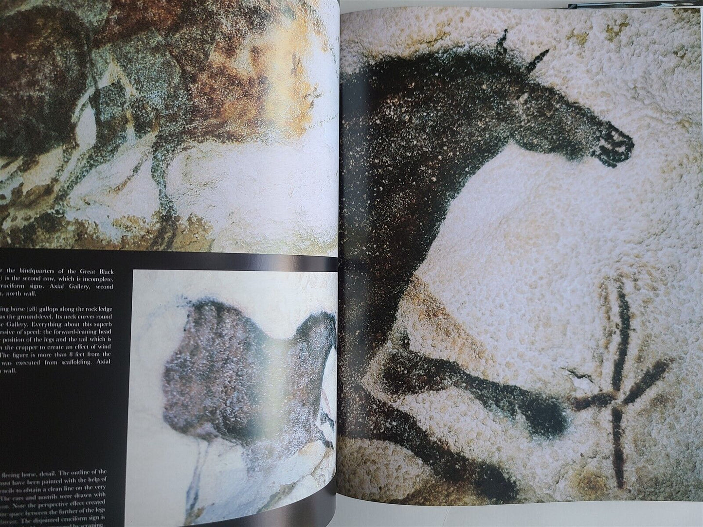 THE CAVE of LASCAUX the FINAL PHOTOGRAPHS by MARIO RUSPOLI ILLUSTRATED FOLIO