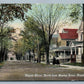 BINGHAMPTON NY FAYETTE STREET ANTIQUE POSTCARD