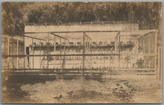 DOVECOTE w/ PIGEONS ANTIQUE REAL PHOTO POSTCARD RPPC
