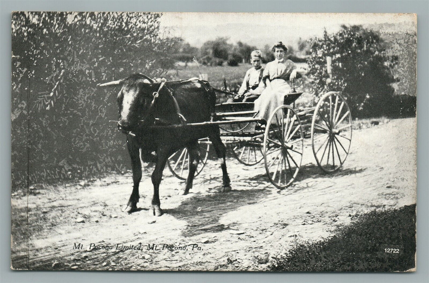 MT. POCONO LIMITED PA ANTIQUE POSTCARD