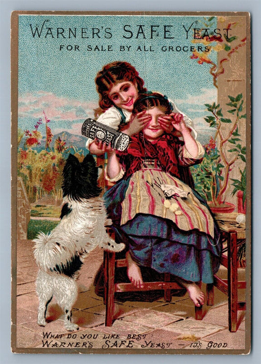 VICTORIAN TRADE CARD WARNER'S SAFE YEAST antique