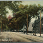 RARITAN NJ MAIN STREET ANTIQUE POSTCARD