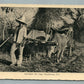 GUATEMALA CARRETERO DE VIAJE VINTAGE POSTCARD