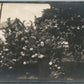 DAYTON PA WOMAN in the GARDEN ANTIQUE REAL PHOTO POSTCARD RPPC