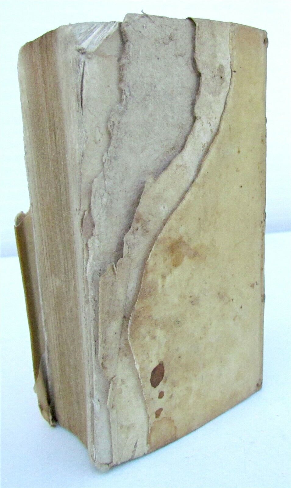 1643 SULPITI SEVERI HISTORIA SACRA antique VELLUM BOUND ELZEVIR PRESS