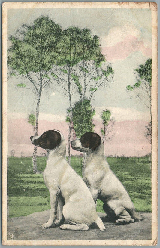 HUNTING DOGS PAIR ANTIQUE POSTCARD