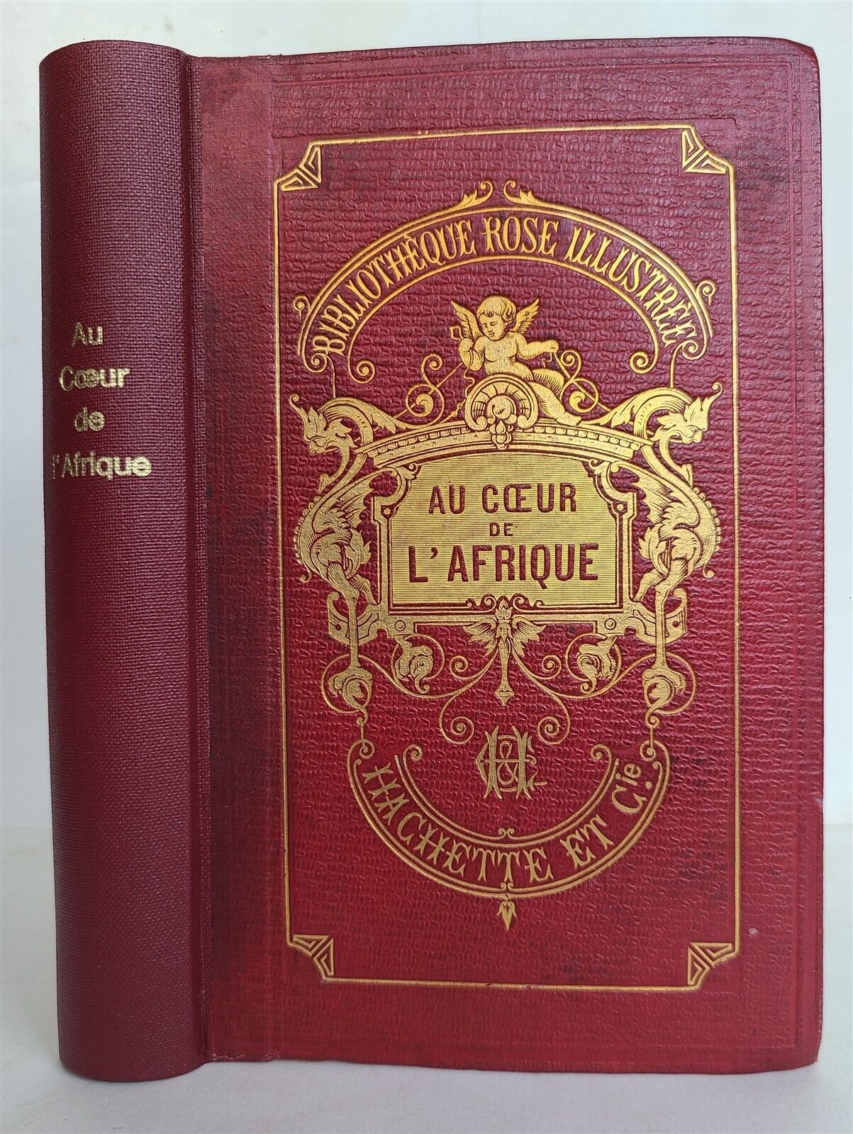 1877 AFRICAN VOYAGE by George SCHWEINFURTH antique ILLUSTRATED w/ PLATES & MAP