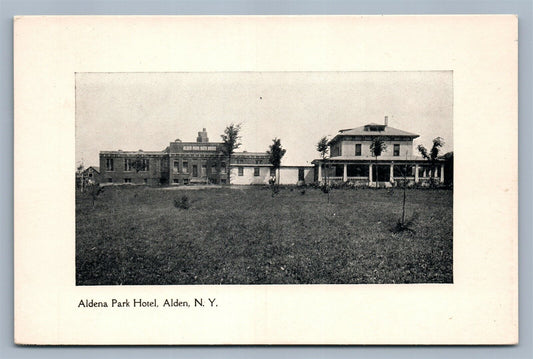 ALDEN NY PARK HOTEL ANTIQUE POSTCARD