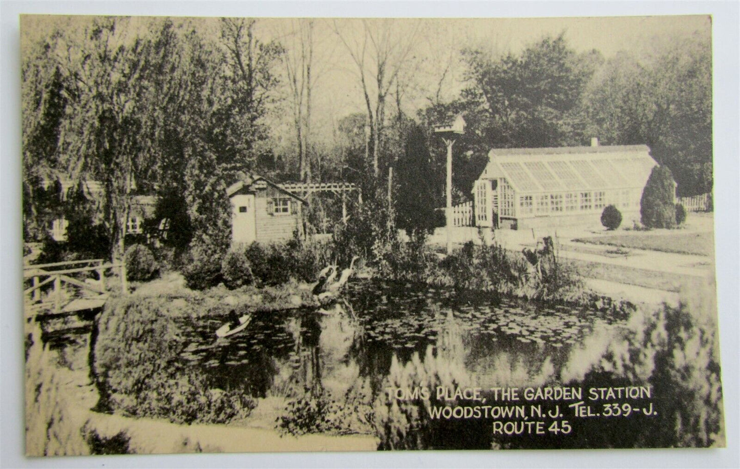 WOODSTOWN NJ TOMS PLAYS GARDEN STATION VINTAGE POSTCARD w/ ORIGINAL NEGATIVE