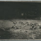 DEAD BODIES AFTER THE BATTLE ANTIQUE REAL PHOTO POSTCARD RPPC