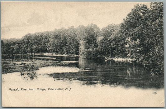 PINE BROOK NJ PASSAIC RIVER FROM BRIDGE ANTIQUE POSTCARD