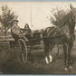DRAFT HORSE CARRIAGE ANTIQUE REAL PHOTO POSTCARD RPPC