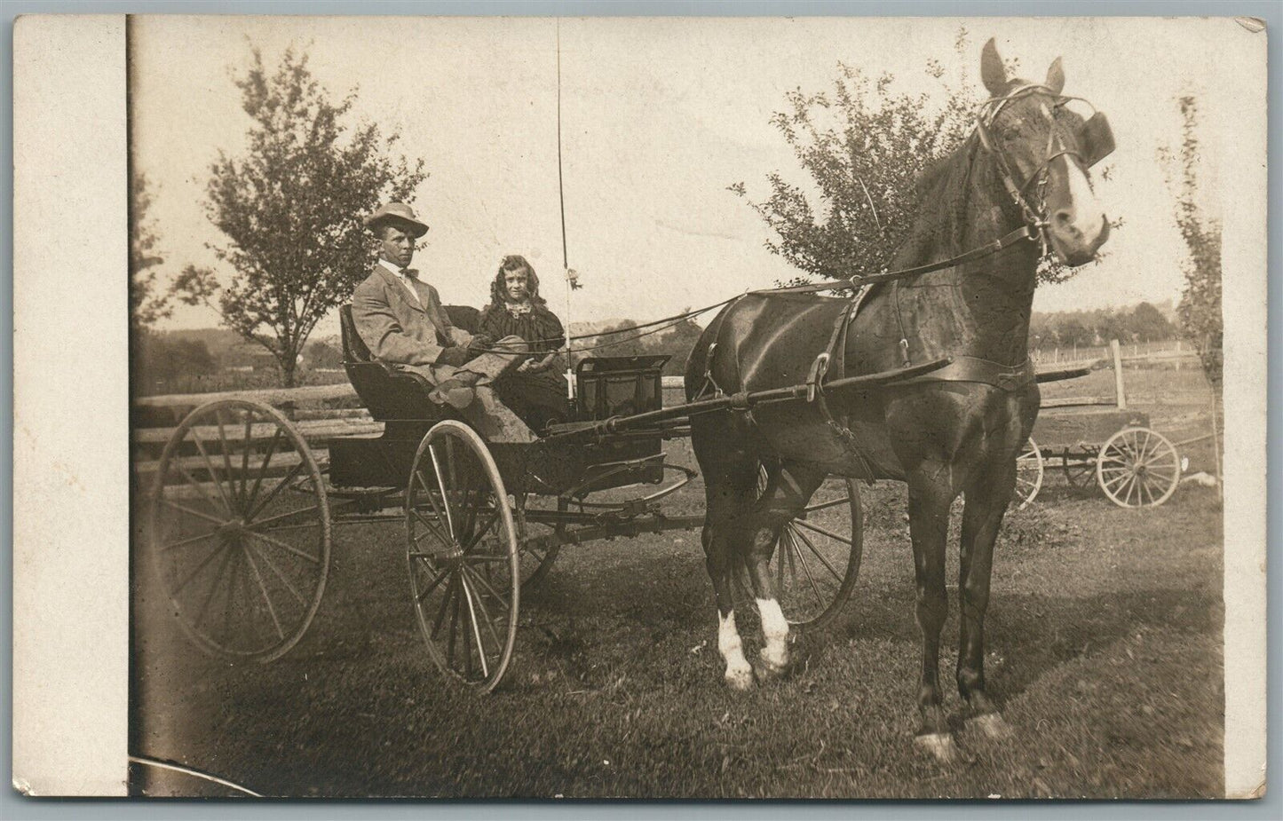 DRAFT HORSE CARRIAGE ANTIQUE REAL PHOTO POSTCARD RPPC