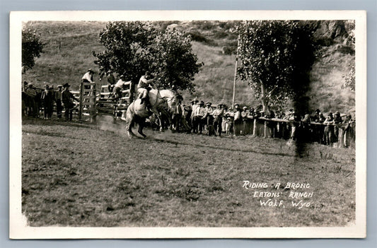 WOLF WYO EATON'S RANCH RIDING A BRONC ANTIQUE REAL PHOTO POSTCARD RPPC