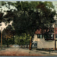 HIGHLAND MILLS NY THE OLD ELM TREE ANTIQUE POSTCARD