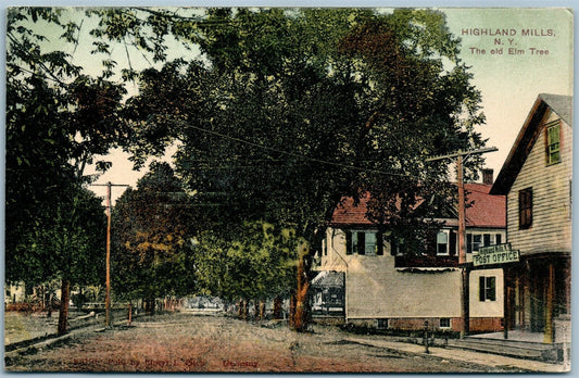 HIGHLAND MILLS NY THE OLD ELM TREE ANTIQUE POSTCARD