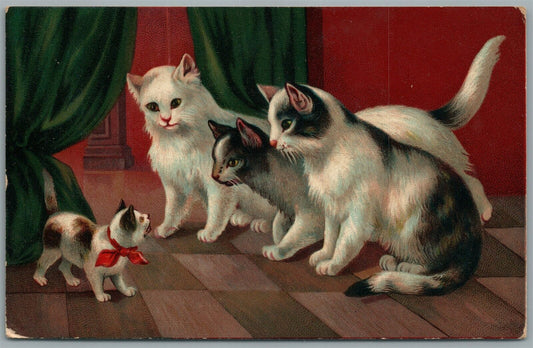 3 ADULT CATS w/ LITTLE ONE ANTIQUE POSTCARD