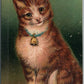 CAT w/ BELL ANTIQUE POSTCARD