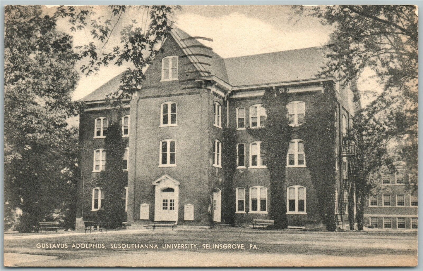 SELLINGROVE PA SUSQUEHANNA UNIVERSITY GUSTAVUS ADOLPHUS 1957 VINTAGE POSTCARD