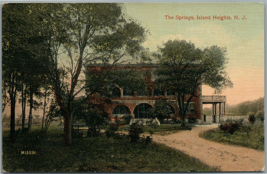 ISLAND HEIGHTS NJ THE SPRINGS ANTIQUE POSTCARD
