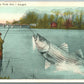 FISHING EXAGGERATED ANTIQUE POSTCARD THE FIRST ONE I CAUGHT