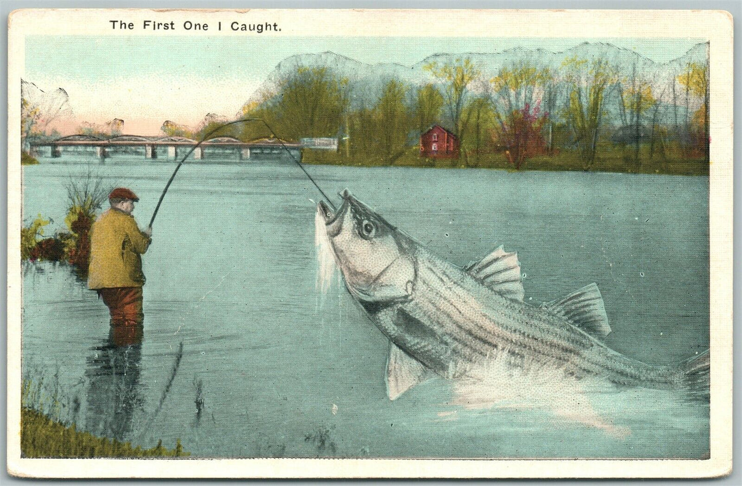 FISHING EXAGGERATED ANTIQUE POSTCARD THE FIRST ONE I CAUGHT