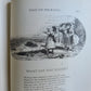 1886 THE LADY of DARDALE & OTHER POEMS HORACE EATON WALKER antique ILLUSTRATED