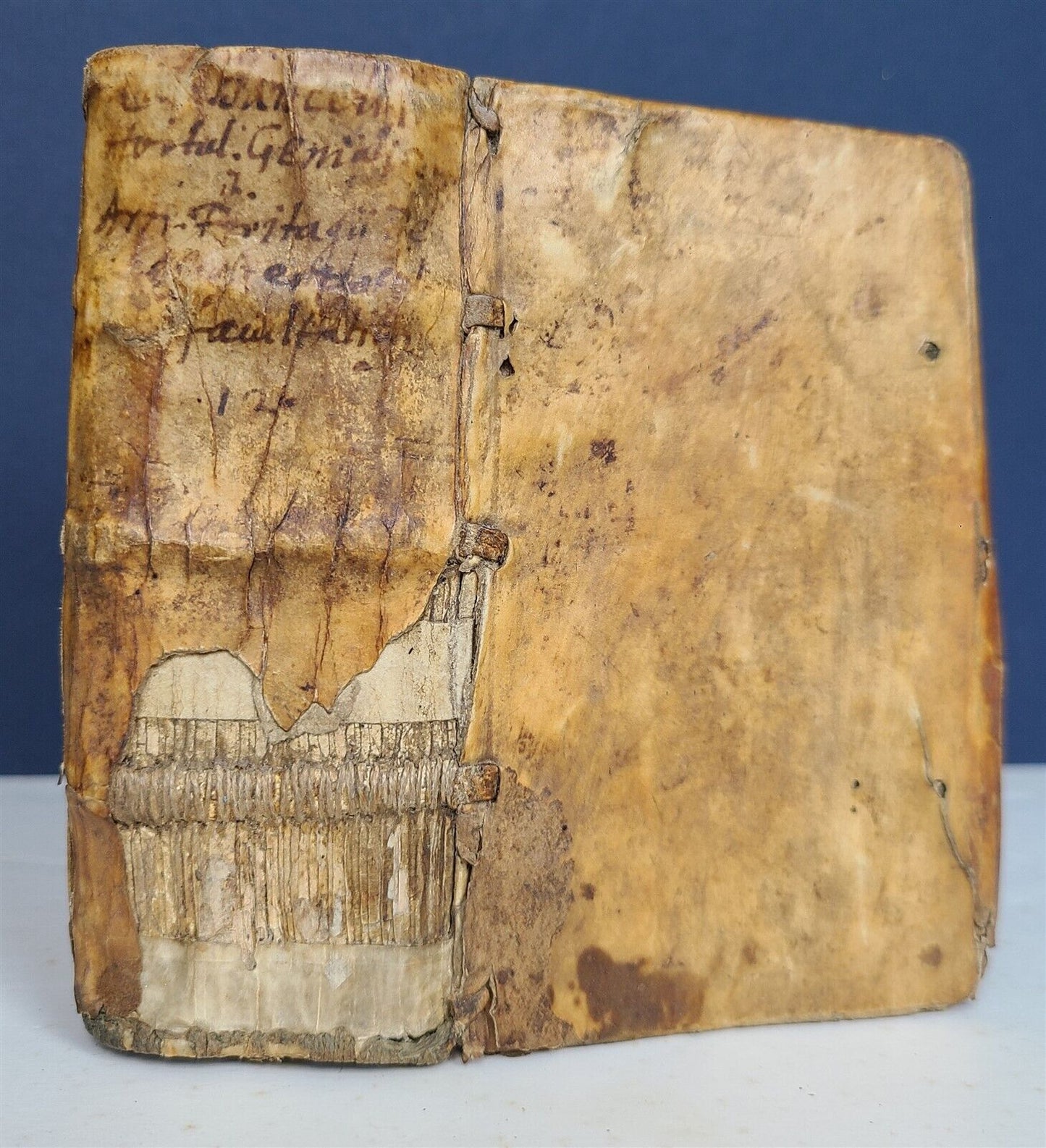 1620 JULIUS CAESAR by BARICELLI antique VELLUM BOUND