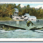 EXAGGERATED FISHING LAKE SCENE ANTIQUE POSTCARD