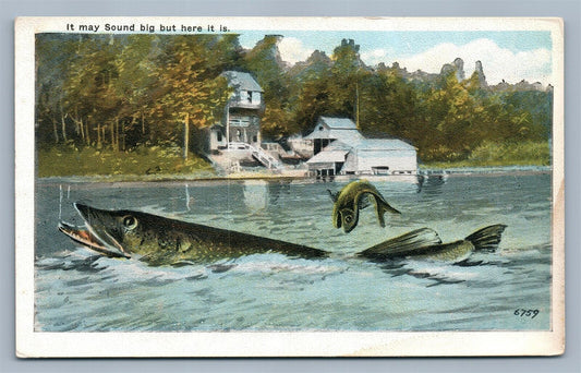 EXAGGERATED FISHING LAKE SCENE ANTIQUE POSTCARD