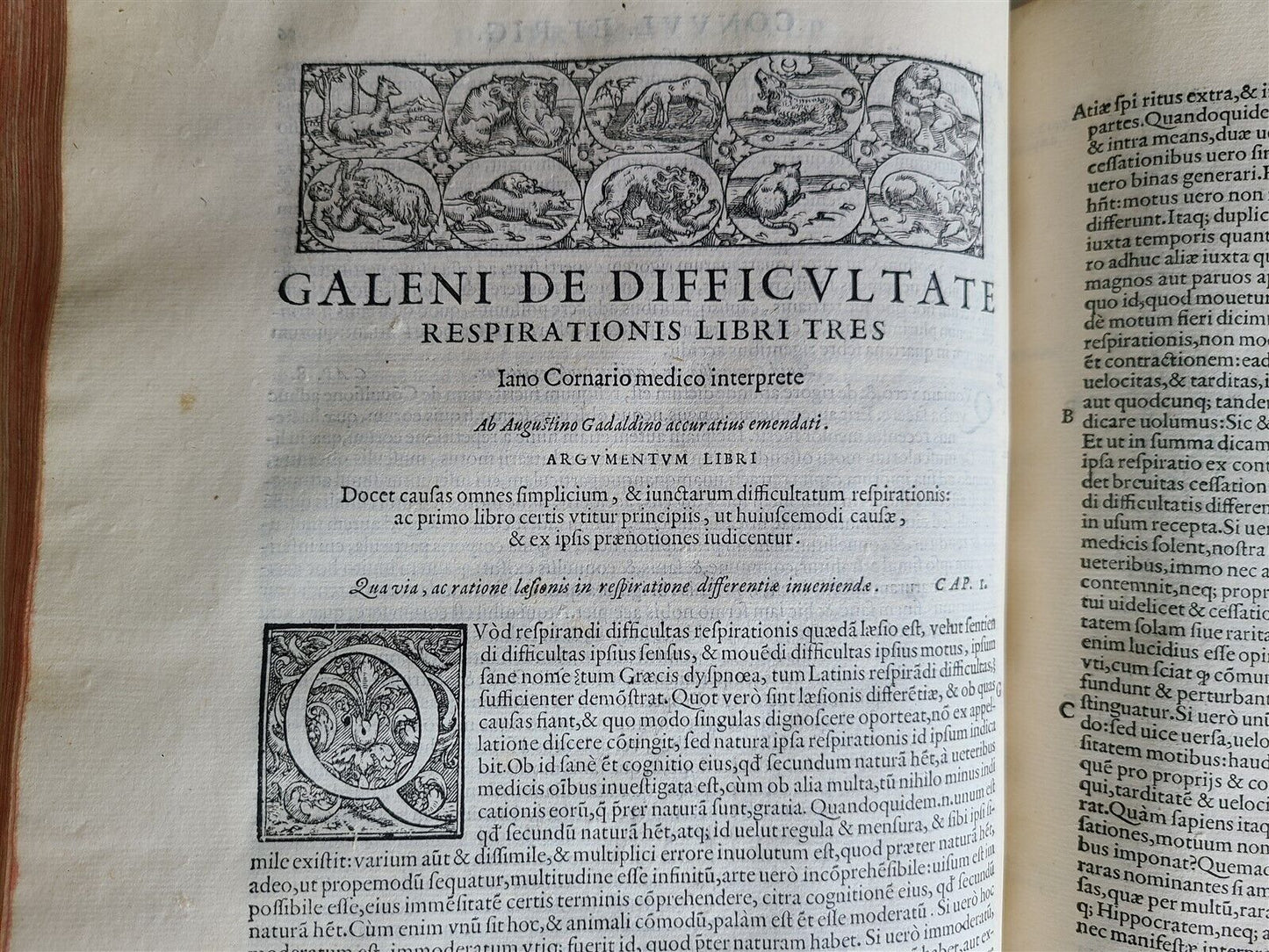 1586 RENAISSANCE EDITION OF GALEN antique FOLIO 16th century FAMOUS MEDICAL WORK