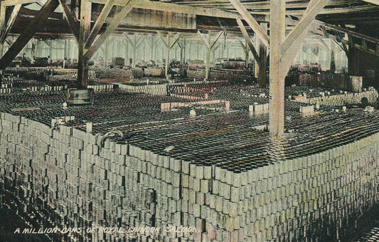 MILLION CANS OF ROYAL CHINOOK SALMON ANTIQUE POSTCARD