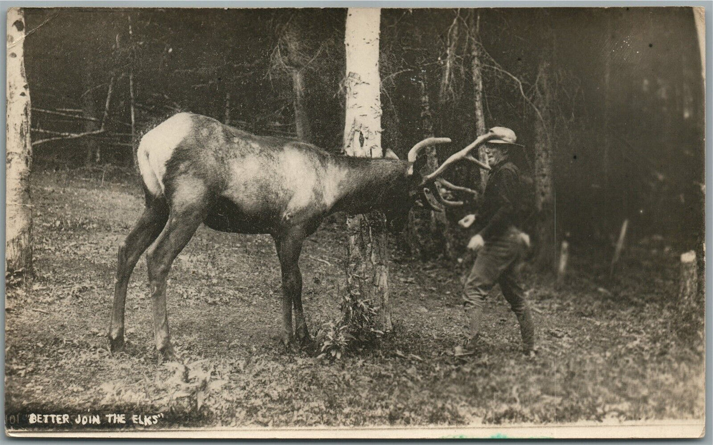 MAN w/ ELK ANTIQUE REAL PHOTO POSTCARD RPPC