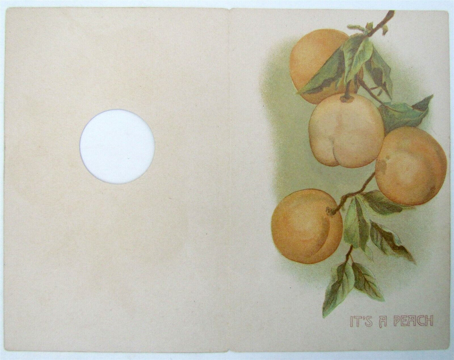 MECHANICAL COMIC ANTIQUE POSTCARD - STUDY IN FRUIT risque