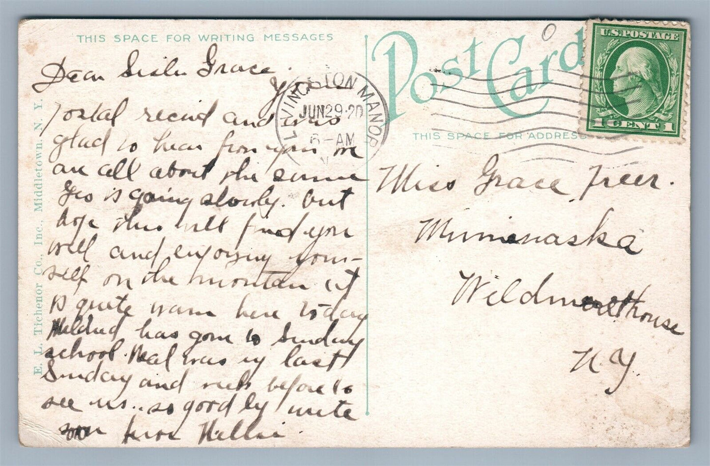 LIVINGSTON MANOR NY DU BOIS STREET ANTIQUE POSTCARD