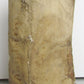 1590 Antidote Against Temptations of Every Sort antique VELLUM 16 century Weller