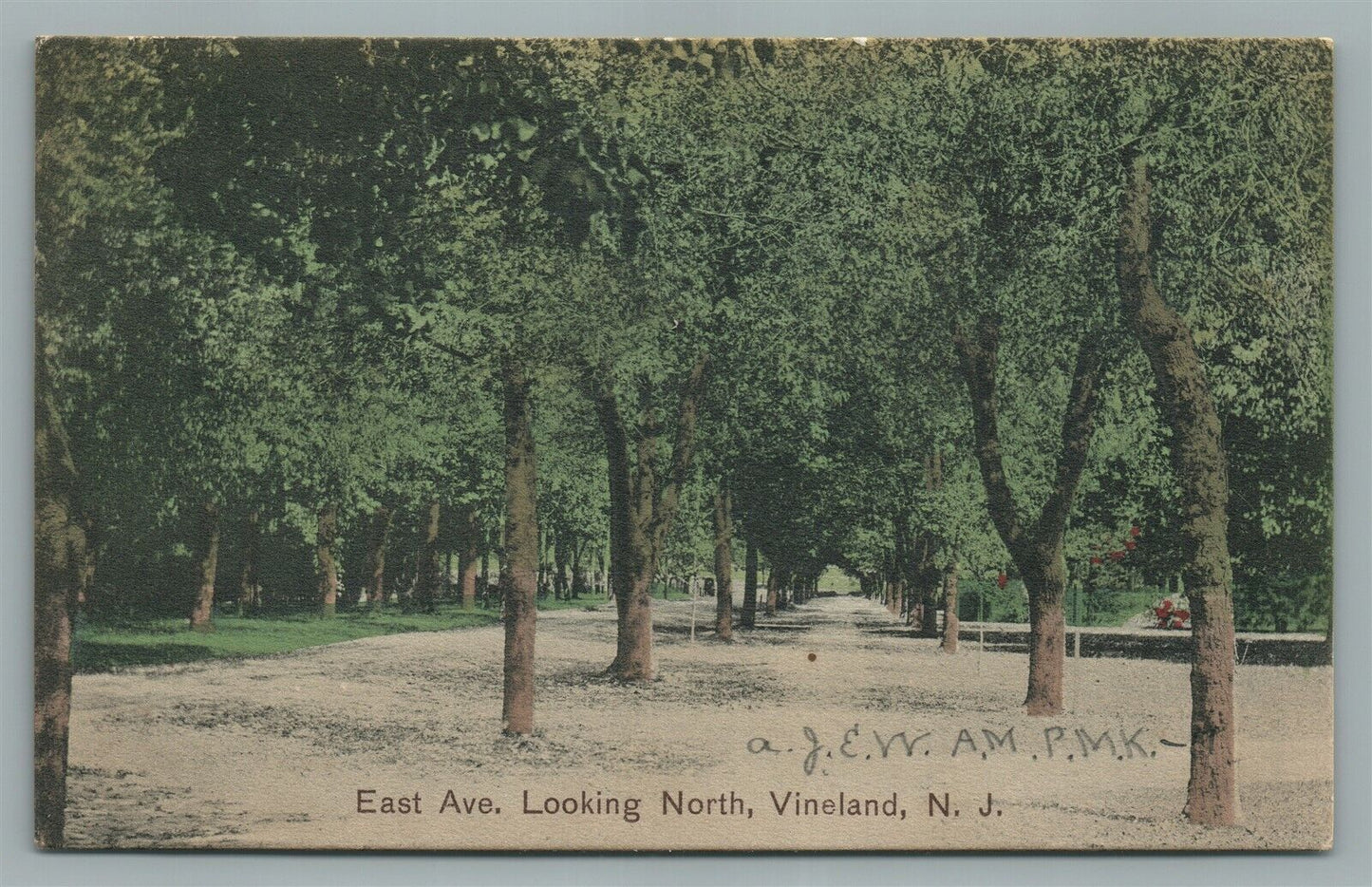 VINELAND PARK NJ EAST AVE. ANTIQUE POSTCARD
