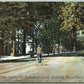 MOUNT HOLLY NJ MAIN STREET COUNTING BUILDINGS ANTIQUE POSTCARD