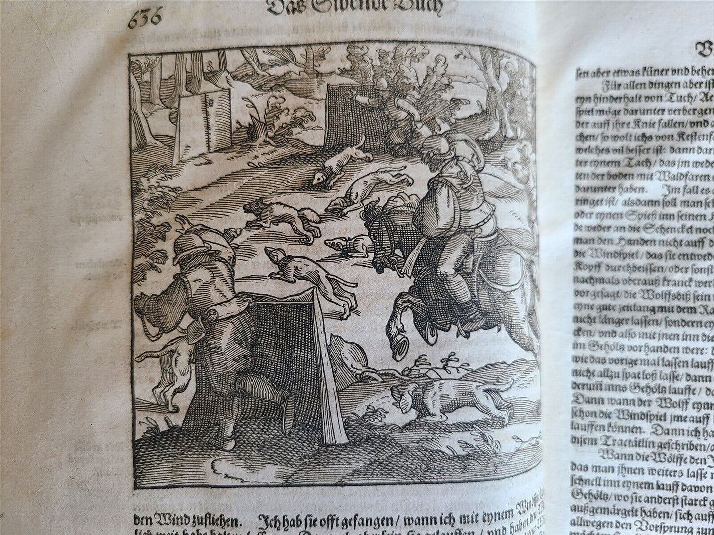 1580 ILLUSTRATED by Tobias Stimmer & J. Amman FOLIO antique HUNTING FALCONRY