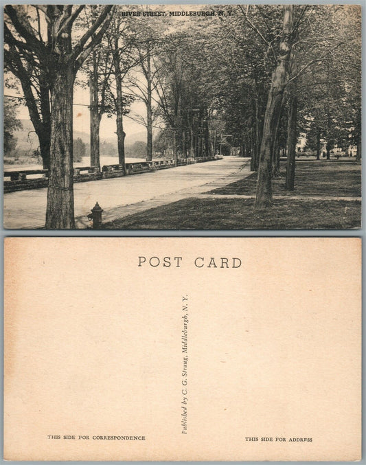 MIDDLEBURGH N.Y. RIVER STREET ANTIQUE POSTCARD