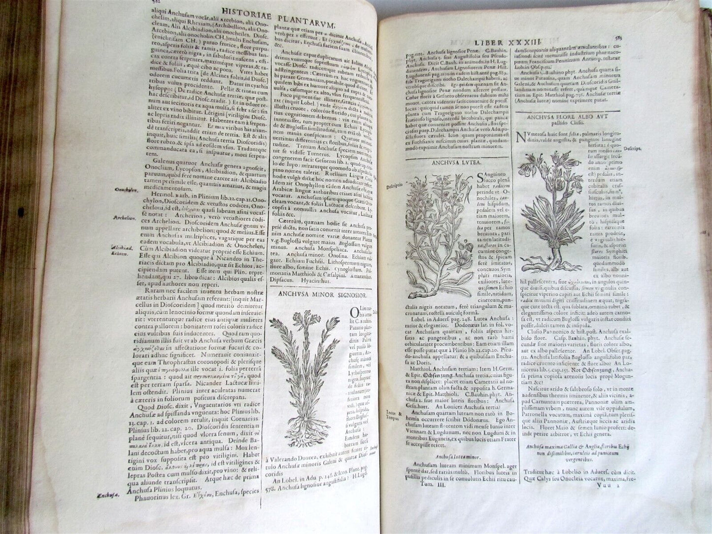 1651 HISTORIAE PLANTARUM UNIVERSALIS v.3 by J. Bauhin antique BOTANY ILLUSTRATED