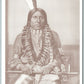 AMERICAN INDIAN TWO FEATHER UNDIVIDED ANTIQUE POSTCARD