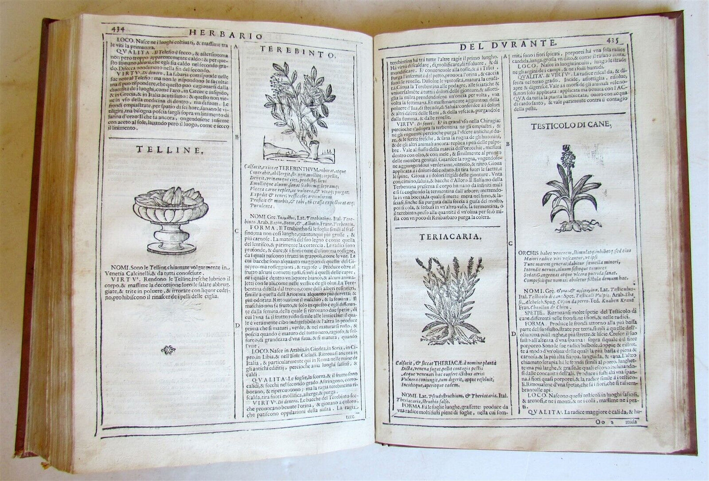 1667 HERBARIO NOVO by Castore DURANTE antique PLANTS BOTANY FULLY ILLUSTRATED